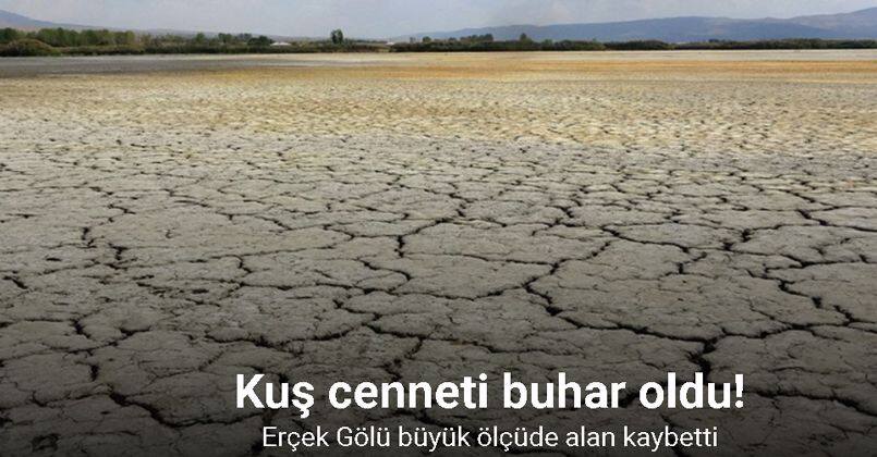 Kuş cenneti Erçek Gölü’nün kıyı şeridi buhar oldu