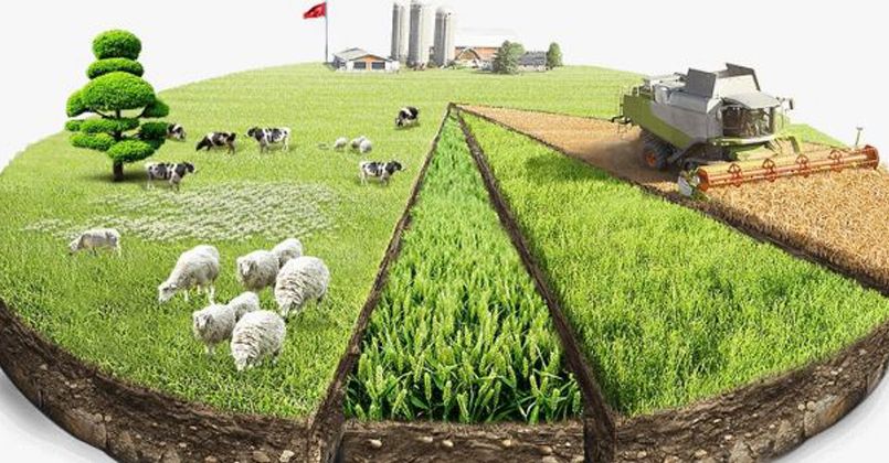 Tarımsal girdi fiyat endeksi yıllık yüzde 34,32 arttı