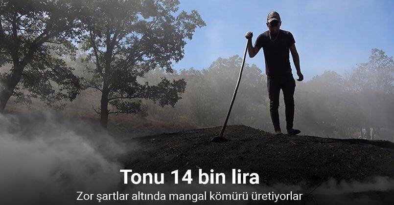 Zor şartlar altında mangal kömürü üretiyorlar: Tonu 14 bin lira