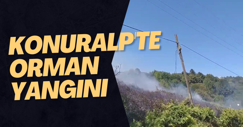 Konuralp'te Orman Yangını