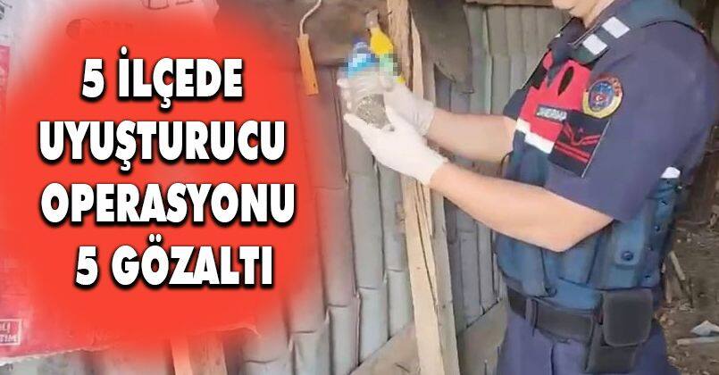 5 ilçede uyuşturucu operasyonu: 5 gözaltı