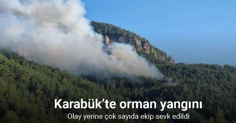 Karabük’te orman yangını