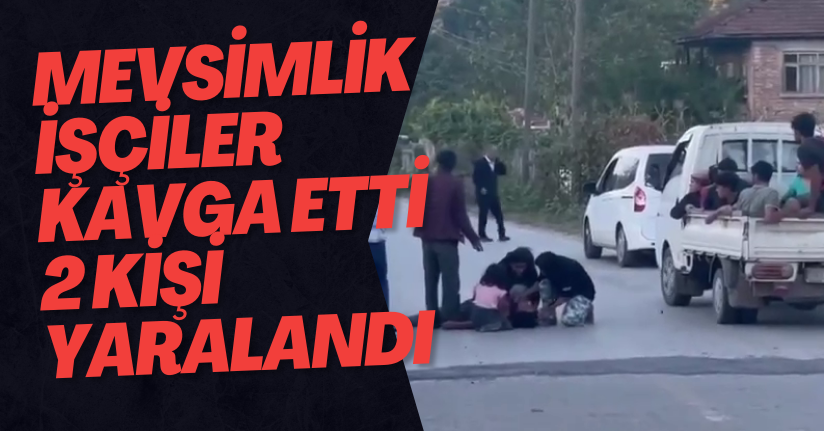 Mevsimlik İşçiler Kavga Etti 2 Kişi Yaralandı