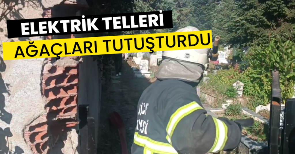 Elektrik Telleri Ağaçları Tutuşturdu