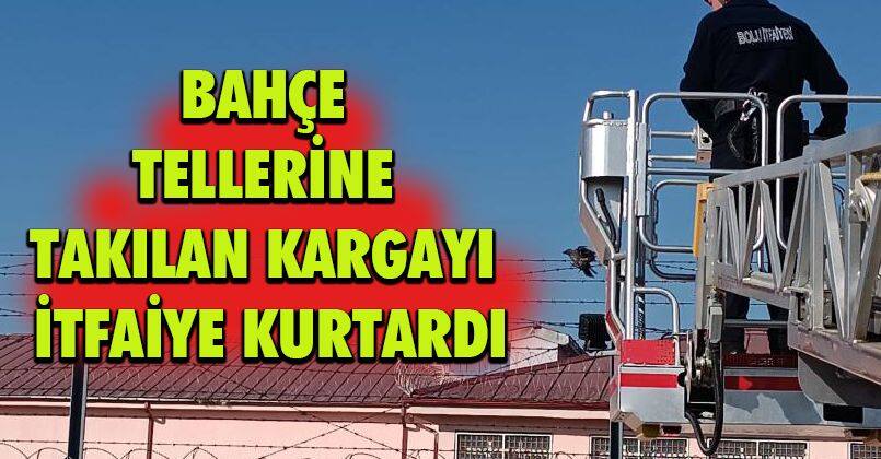 Bahçe tellerine takılan kargayı itfaiye kurtardı