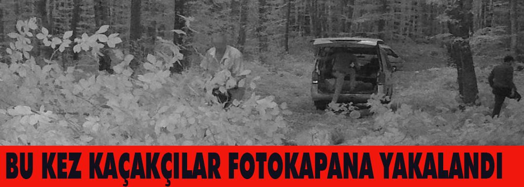 Fotokapan Bu Kez Orman Kaçakçılarını Yakaladı