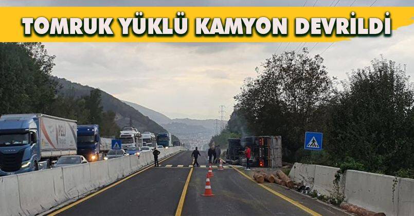 Tomruk yüklü kamyon devrildi: 1 yaralı