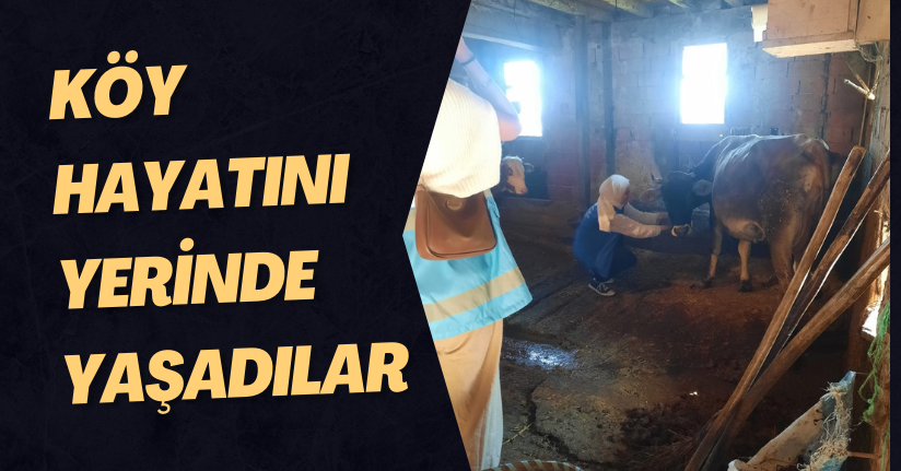 Köy Hayatını Yerinde Yaşadılar