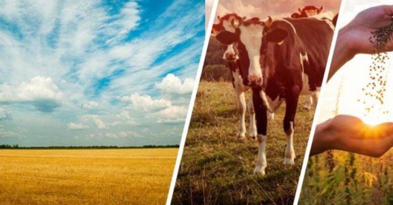 Tarıma 2024'te 91,6 Milyar TL Destek Verilecek