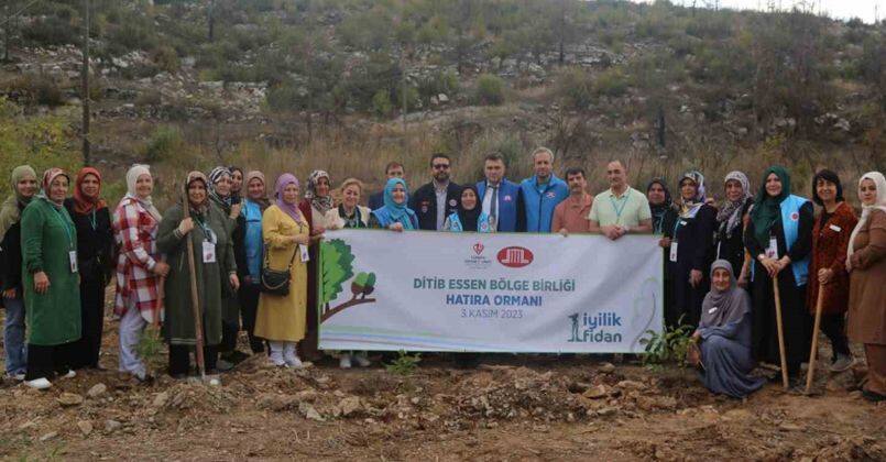 TDV “1 İyilik 1 Fidan” kampanyasıyla yıl sonuna kadar 800 bin fidan dikecek