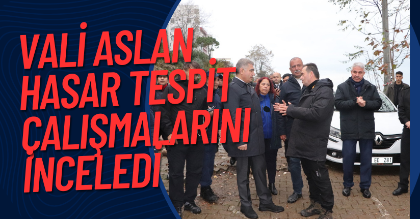 Vali Aslan Hasar Tespit Çalışmalarını İnceledi