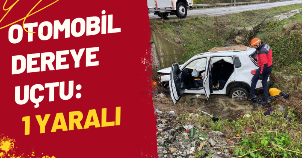Otomobil dereye uçtu: 1 yaralı
