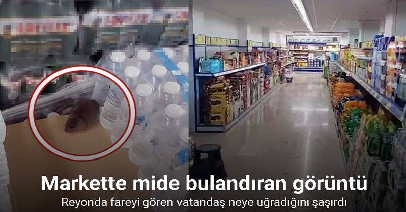BİM'de Fare Görüldü
