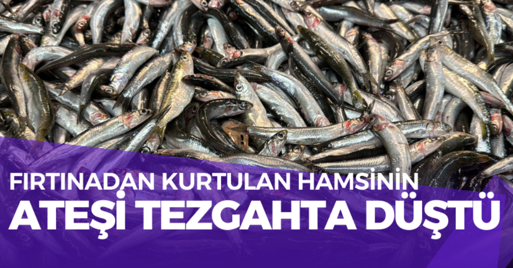 Fırtınadan Kurtulan Hamsinin Ateşi Tezgahta Düştü