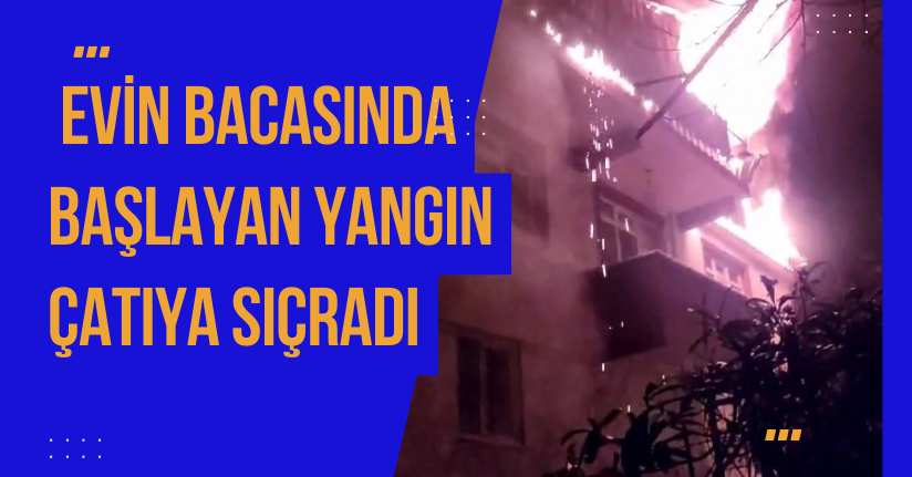 Evin bacasında başlayan yangın çatıya sıçradı