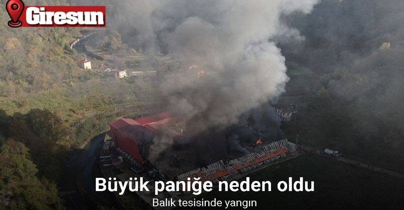 Giresun’da balık tesisinde yangın