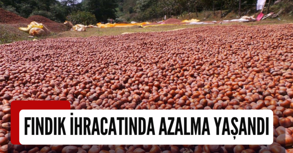 Fındık İhracatında Azalma Yaşandı