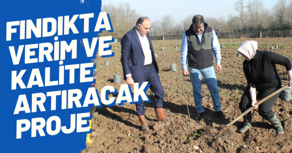 Fındıkta Verim Ve Kalite Artıracak Proje