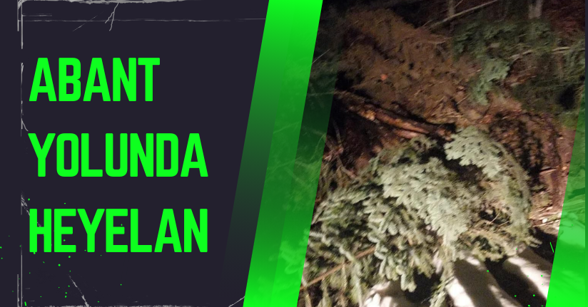 Abant yolunda heyelan