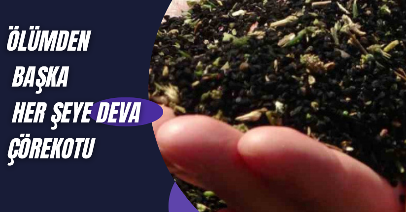 Ölümden başka her şeye deva; Çörekotu