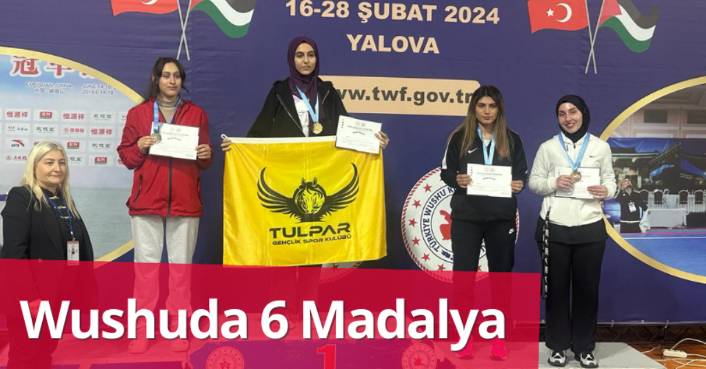 Wushuda 6 Madalya