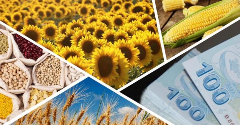 Tarım-GFE yıllık yüzde 41,43 arttı