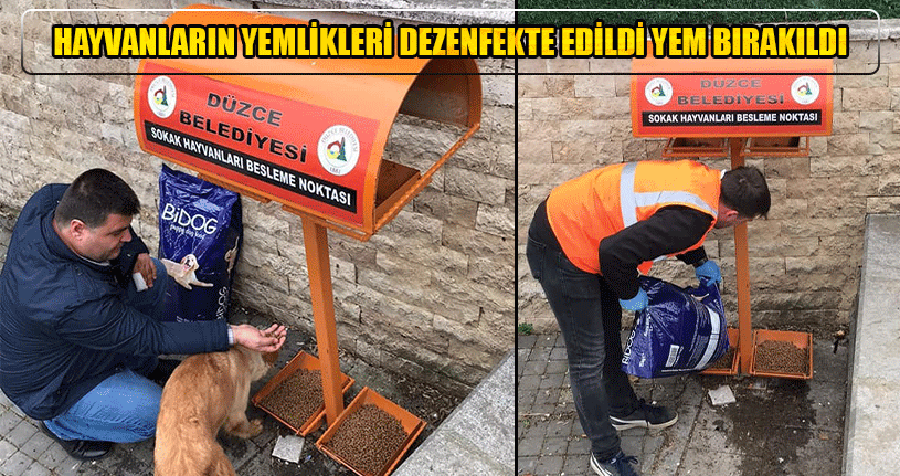 Sokak Hayvanlarını Unutmadılar