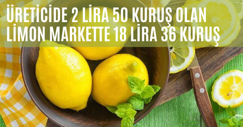 Üreticide 2 lira 50 kuruş olan limon, 18 lira 36 kuruşa markette satıldı