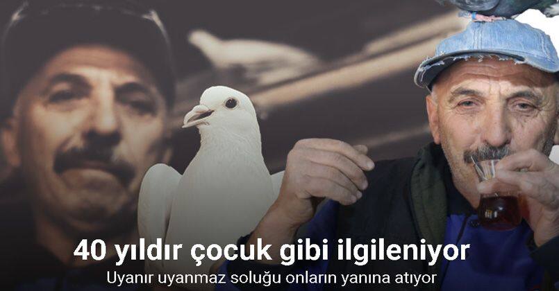 40 yıldır kumrularla çocuk gibi ilgileniyor