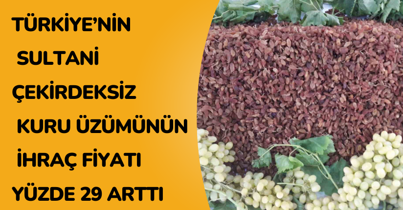 Türkiye’nin sultani çekirdeksiz kuru üzümünün ihraç fiyatı yüzde 29 arttı