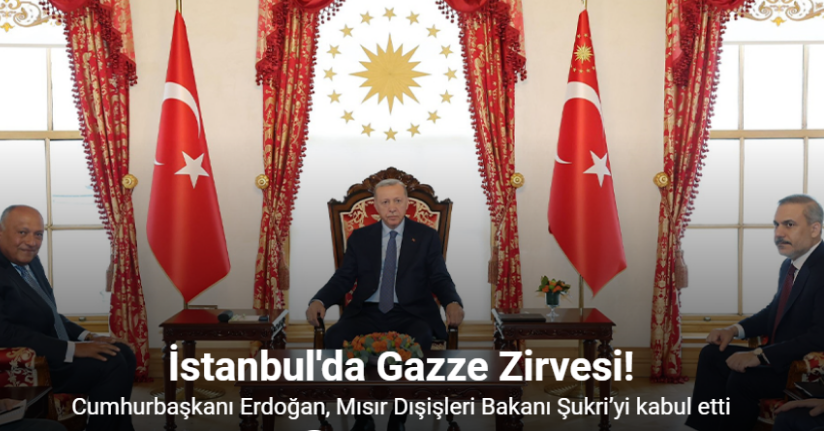 Cumhurbaşkanı Erdoğan, Mısır Dışişleri Bakanı Şukri’yi kabul etti