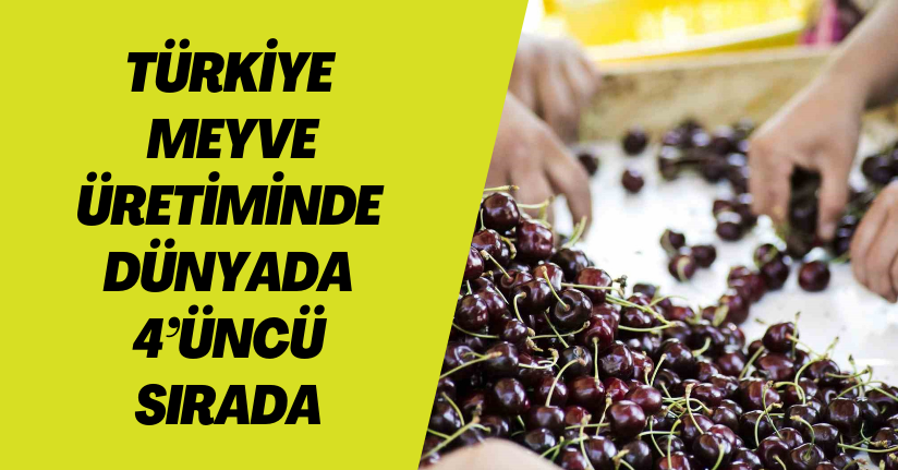 Türkiye, meyve üretiminde dünyada 4’üncü sırada