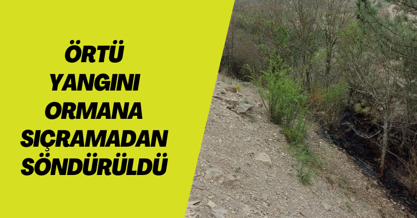  Örtü yangını ormana sıçramadan söndürüldü