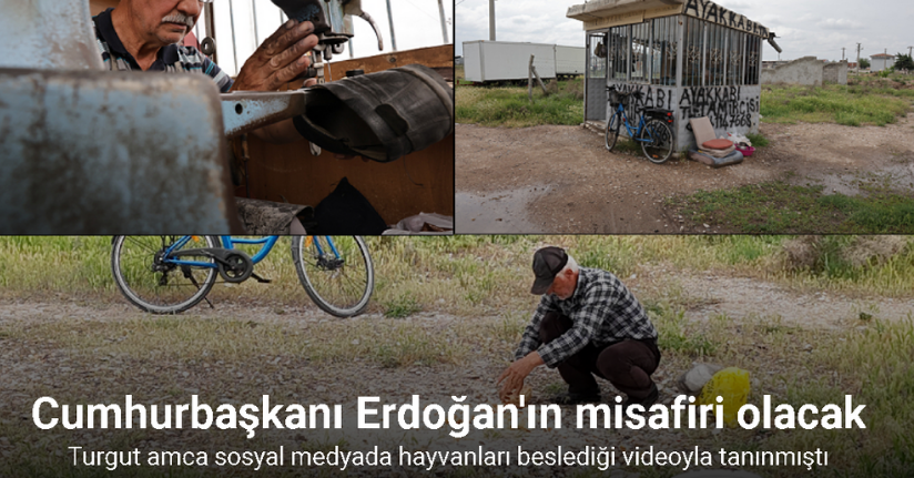 Hayvanları besleyen ayakkabı tamircisini Cumhurbaşkanı Erdoğan Külliye’de ağırlayacak