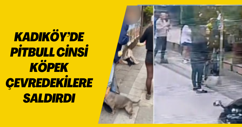Kadıköy’de pitbull cinsi köpek çevredekilere saldırdı