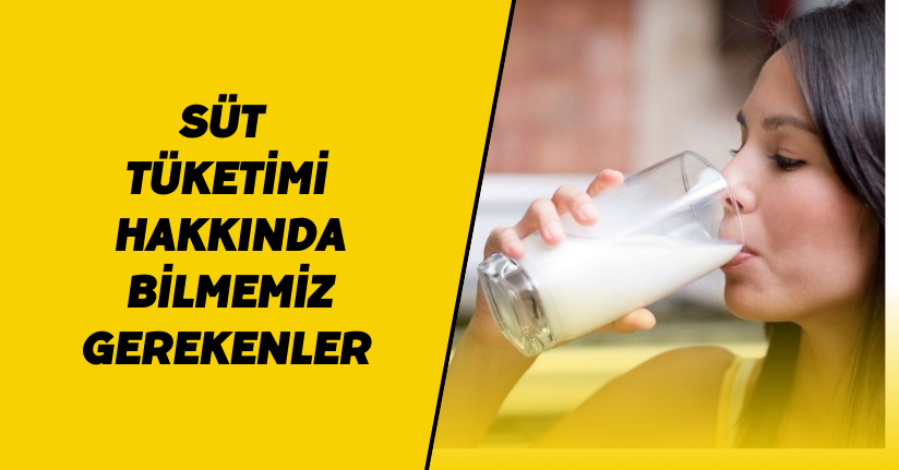 Süt Tüketimi Hakkında Bilmemiz Gerekenler