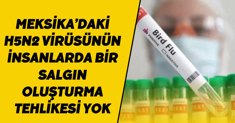Prof. Dr. Ceyhan: “Meksika’daki H5N2 virüsünün insanlarda bir salgın oluşturma tehlikesi yok”