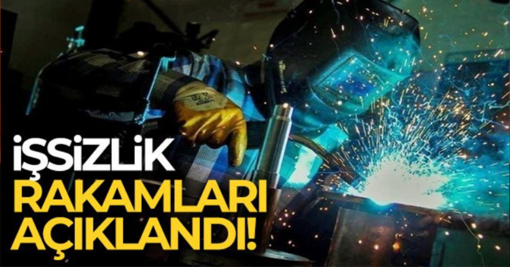 Türkiye'deki işsizlik oranı belli oldu
