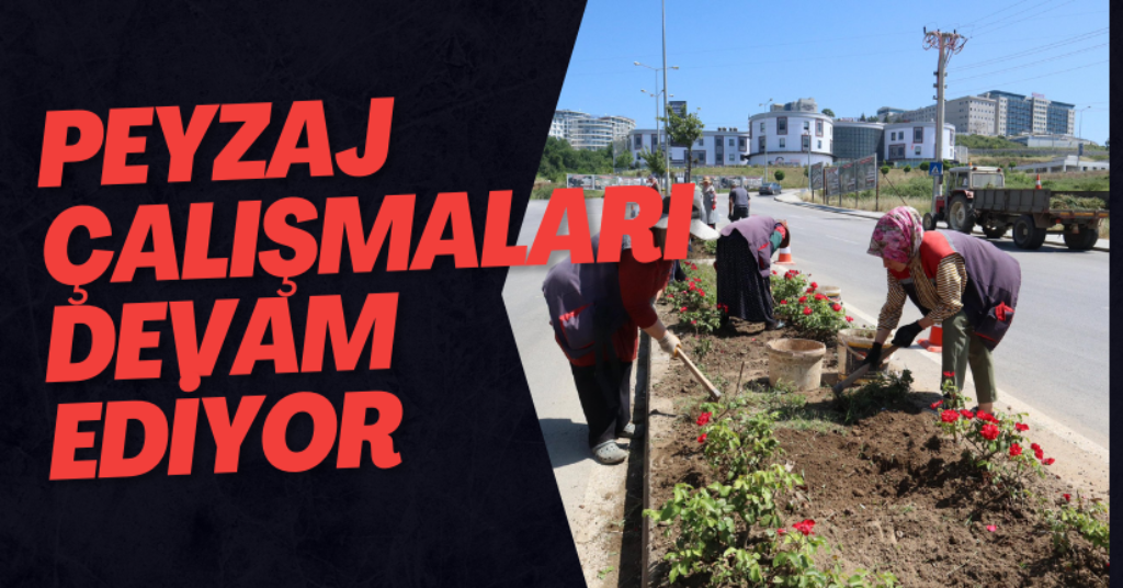 Peyzaj Çalışmaları Devam Ediyor