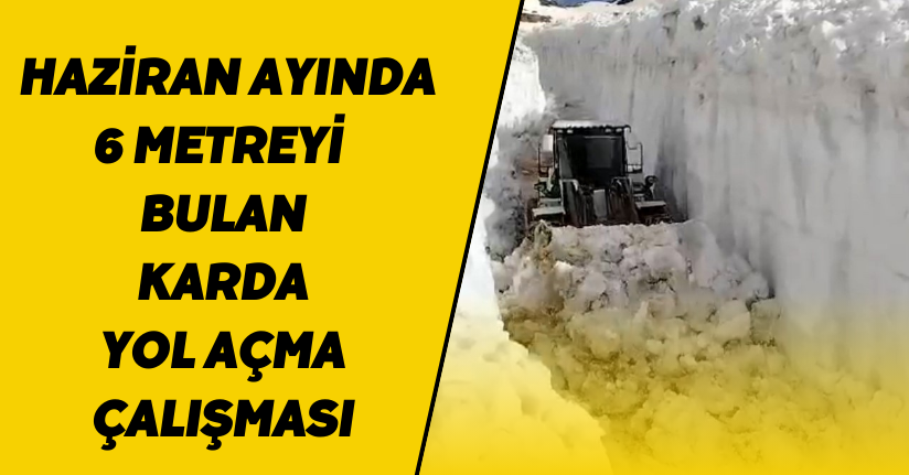Haziran ayında 6 metreyi bulan karda yol açma çalışması