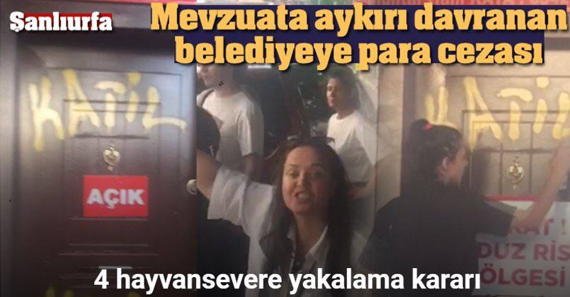 Kuduz köpek vakasında 4 yakalama kararı