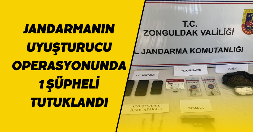Jandarmanın Uyuşturucu Operasyonunda 1 Şüpheli Tutuklandı