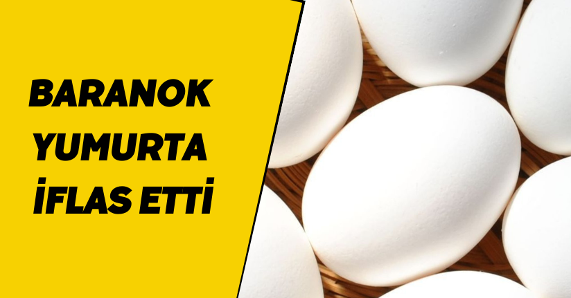 Türkiye'nin birçok iline gönderim yapan ünlü yumurta markası iflas etti