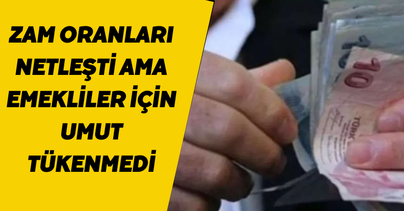 Zam oranları netleşti ama emekliler için umut tükenmedi