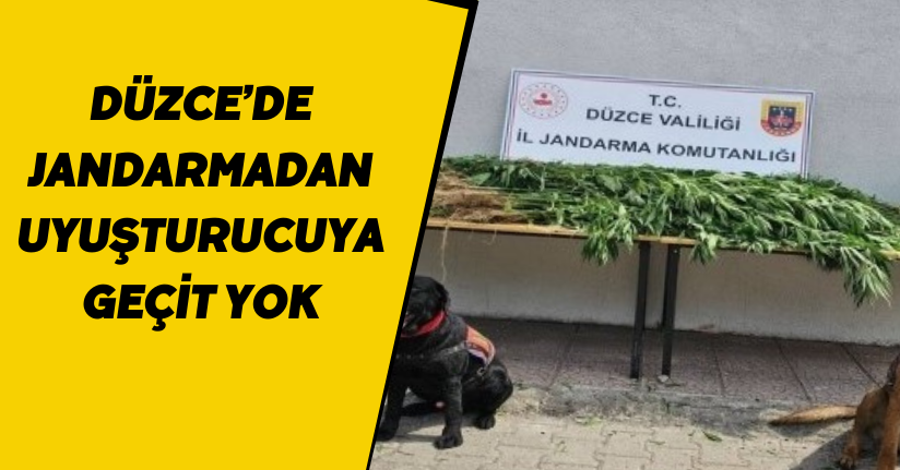 Düzce’de jandarmadan uyuşturucuya geçit yok
