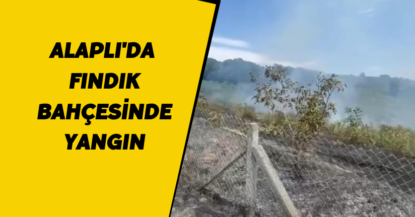 Alaplı'da Fındık Bahçesinde Yangın