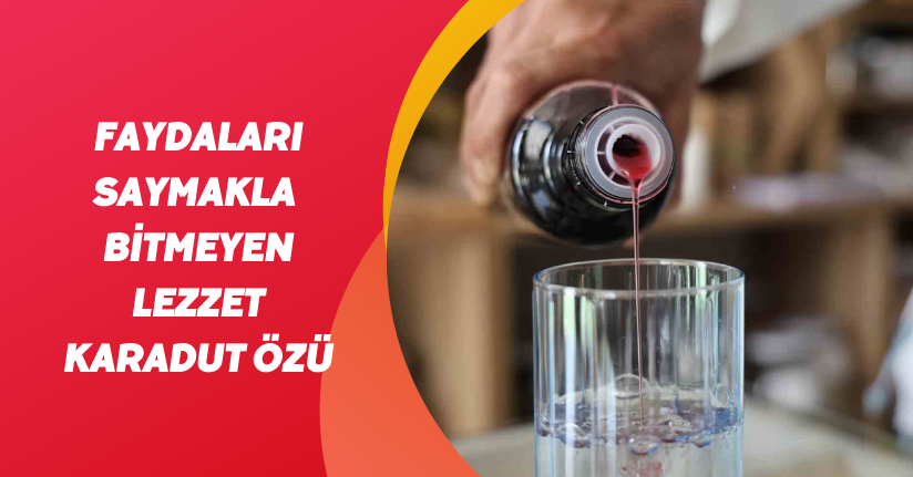 Faydaları saymakla bitmeyen lezzet: Karadut özü