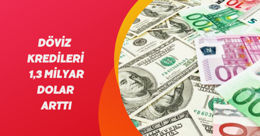 Döviz kredileri 1,3 milyar dolar arttı