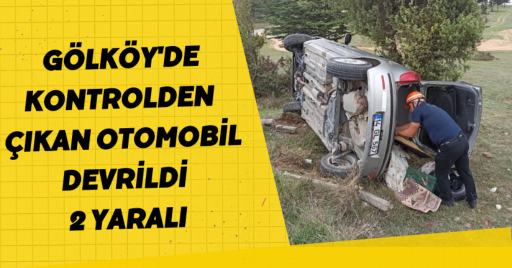 Gölköy'de kontrolden çıkan otomobil devrildi: 2 yaralı