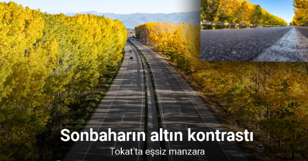 Sonbaharın altın kontrastı, Tokat'a gelen sürücüleri mest ediyor